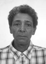 Foto Palito 22555