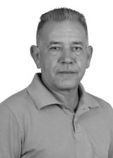 Foto Galo Branco 36111