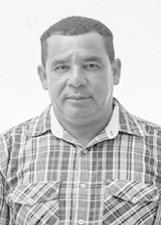 Foto Bodinho 19444
