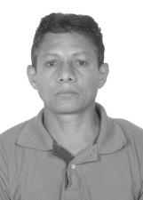 Foto Galo 23501
