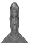 Foto Roldinei Rocha 15020