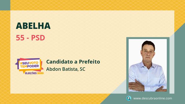 Foto Abelha 55
